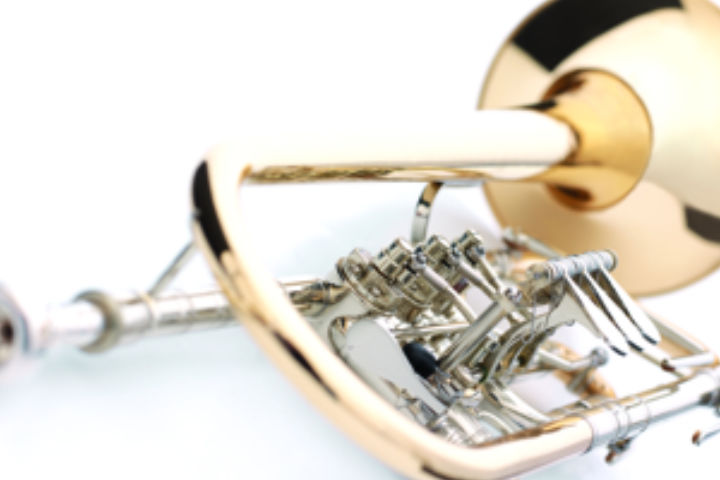 Instruments - JÜRGEN VOIGT · German Master Instruments owner